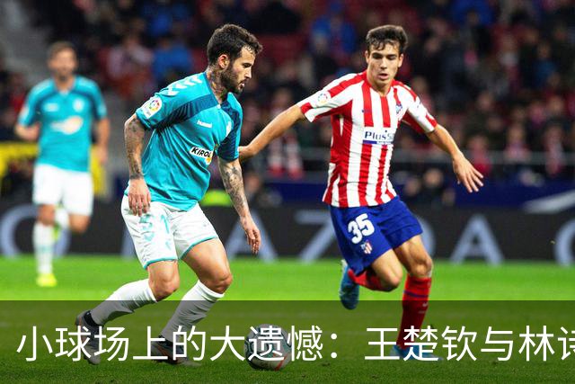 小球场上的大遗憾：王楚钦与林诗栋因伤退赛记